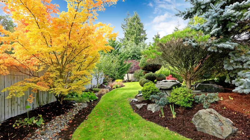 Designed Landscape